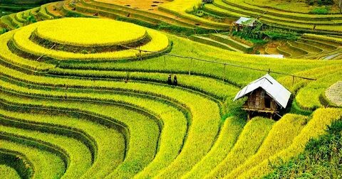 Học phí các trường kinh tế, cao nhất 230 triệu đồng/năm
